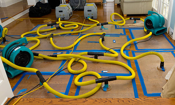 Professional Crawl Space Water Removal technician working in Collingswood, NJ